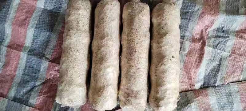 香菇菌棒基地直供一手货源大量上市品质保证诚信经营