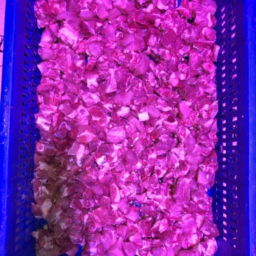 【脊骨】量大从优剁脊骨品质保证保证品质