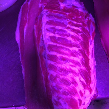 【精品】猪直排保证新鲜量大从优可视频看货