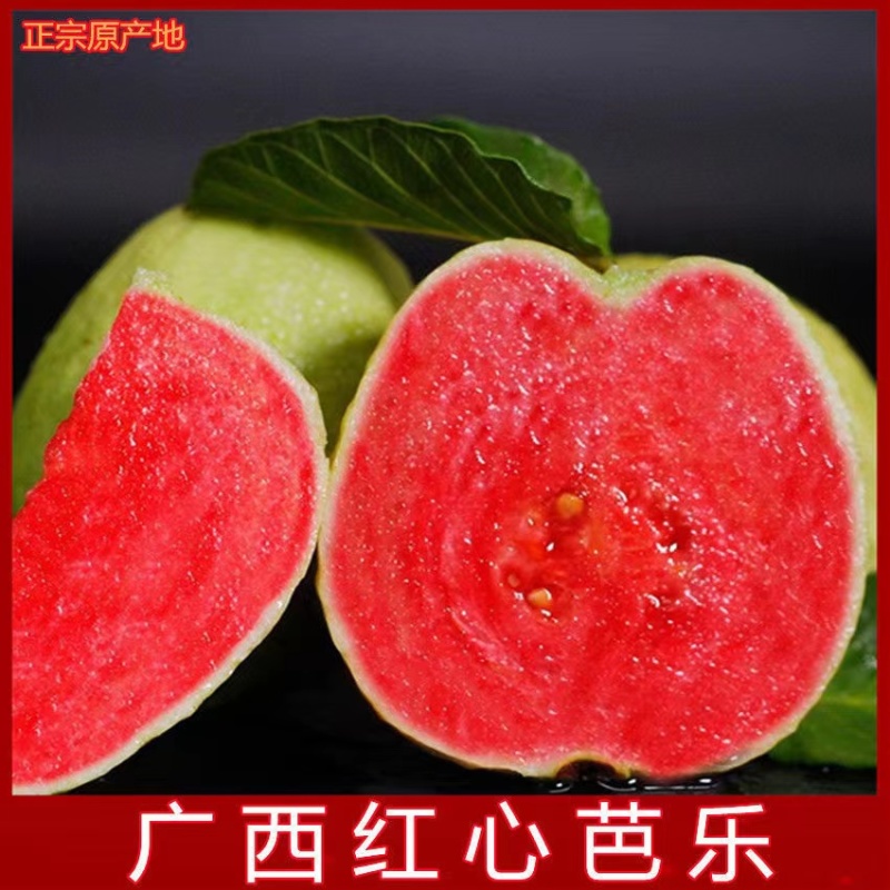 福建番石榴红心芭乐产地代办供应全国批发市场