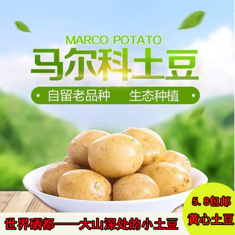 （优选）恩施马尔科小土豆黄心洋芋种子