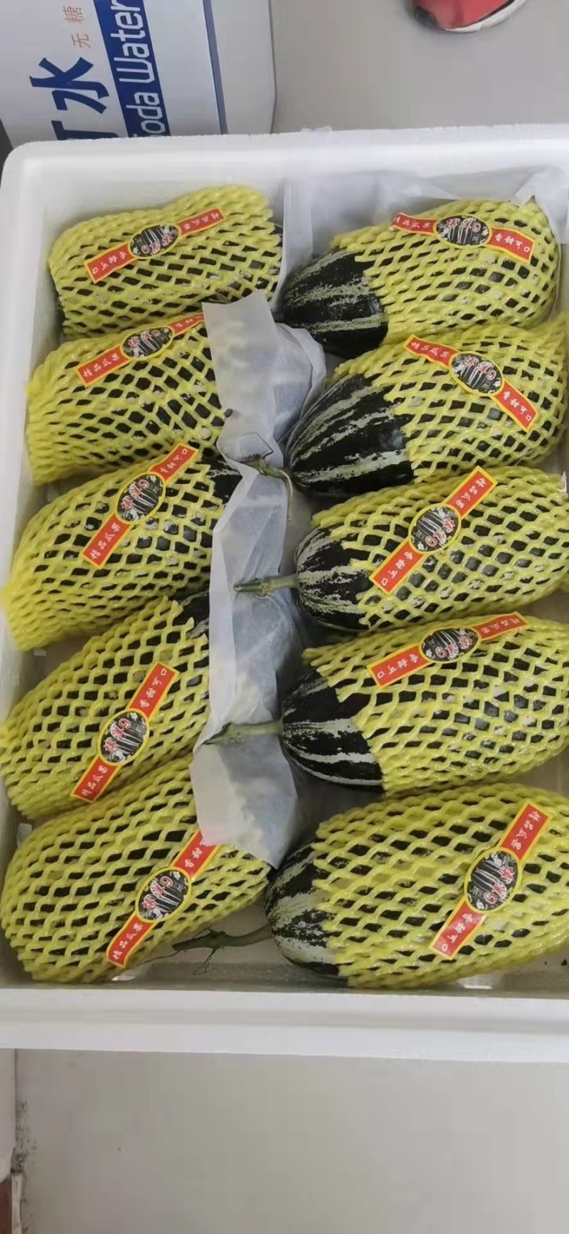 【牛商推荐】精品博洋甜瓜，博洋9甜瓜大量上市中，品质保证