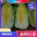 精品云南大白菜150吨长年供应产现摘现发产地直发