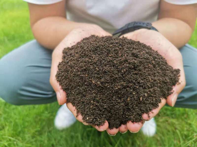 发酵纯羊粪肥效持久种植花卉、蔬菜和农作物有用的基肥