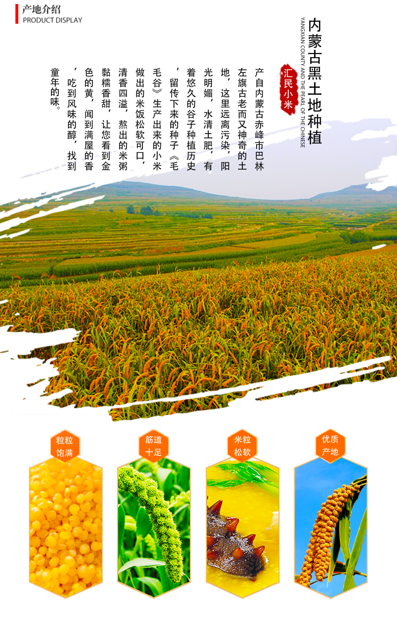 内蒙古特产毛毛谷小米林东特产批发产地直发运输便利品质优良