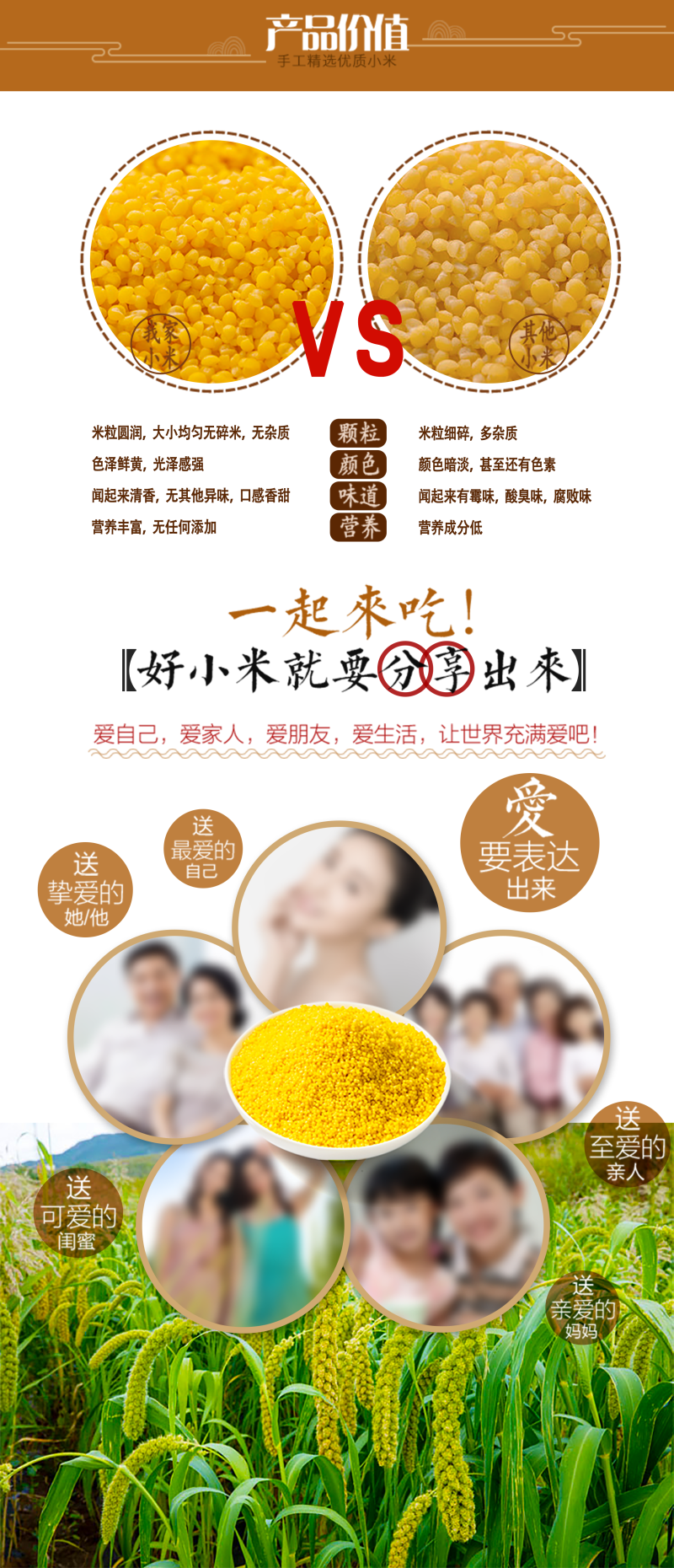 内蒙古特产毛毛谷小米林东特产批发产地直发运输便利品质优良