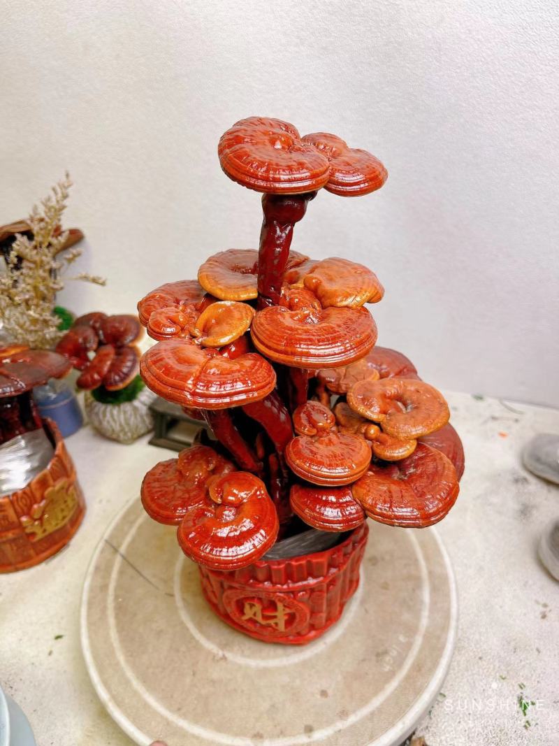 【灵芝】小三层灵芝高度30宽16一手货源量大从优