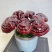 【灵芝】紫灵芝常年供应保质品质包技术售后