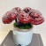 【灵芝】紫灵芝常年供应保质品质包技术售后