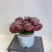 【灵芝】紫灵芝常年供应保质品质包技术售后