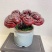 【灵芝】紫灵芝常年供应保质品质包技术售后