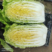 【白菜】黄心白菜单颗3—7斤产地直销量大从优全国发货