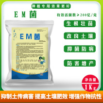 em菌种种植专用益生菌果树大棚蔬菜改良土壤防病促生根水溶