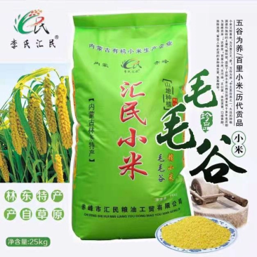 内蒙古特产毛毛谷小米林东特产批发产地直发运输便利品质优良