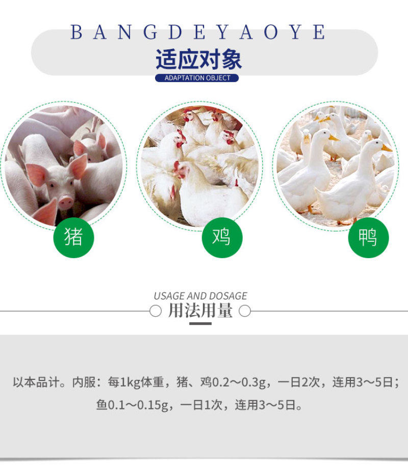 兽用氟苯尼考粉10%兽药大全呼吸道感染猪药牛羊鸡鸭鹅家禽