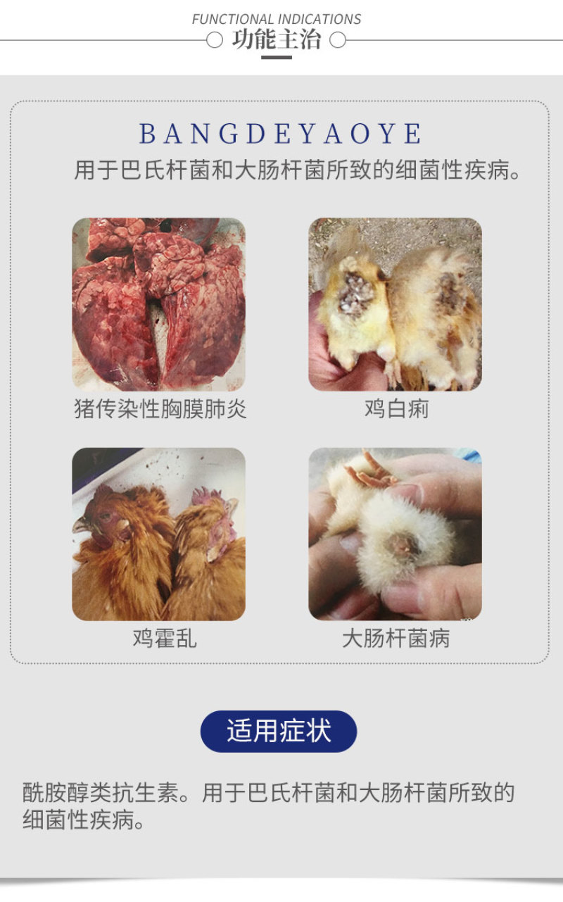 兽用氟苯尼考粉10%兽药大全呼吸道感染猪药牛羊鸡鸭鹅家禽