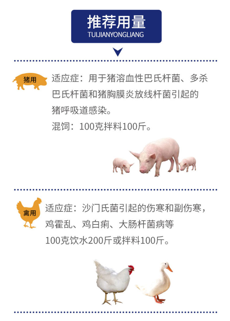 兽用氟苯尼考粉10%兽药大全呼吸道感染猪药牛羊鸡鸭鹅家禽