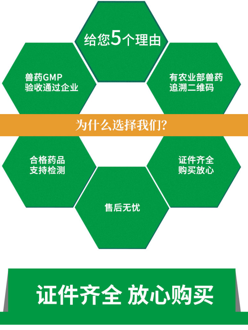 兽用氟苯尼考粉10%兽药大全呼吸道感染猪药牛羊鸡鸭鹅家禽