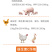 兽药维生素C可溶性粉防暑降温兽用猪药鸡牛羊发热增免维大全