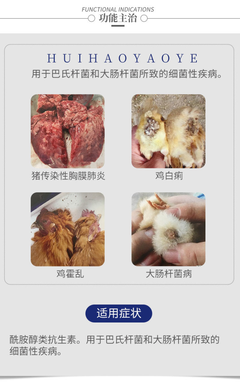 兽用氟苯尼考粉20%兽药大全呼吸道感染猪药牛羊鸡鸭鹅家禽