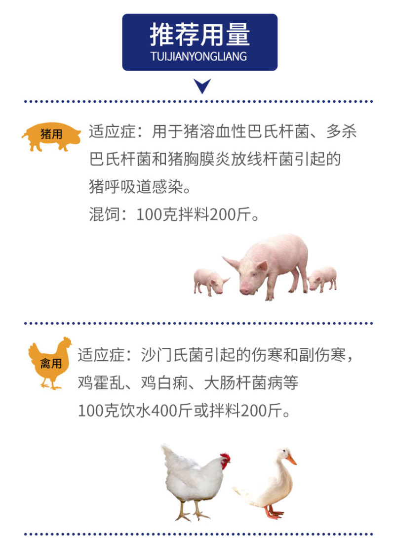 兽用氟苯尼考粉20%兽药大全呼吸道感染猪药牛羊鸡鸭鹅家禽