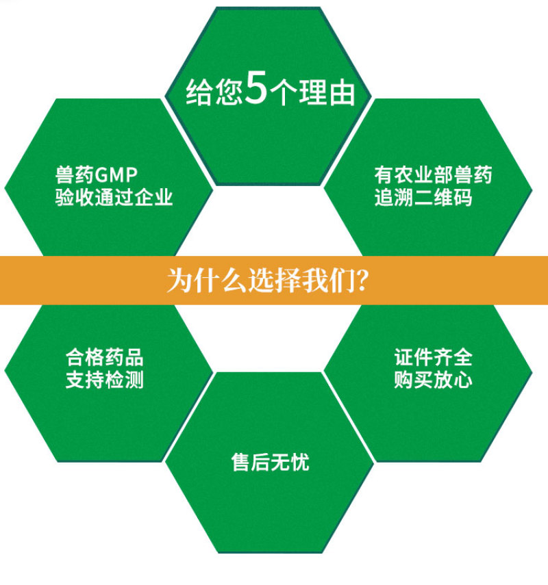 兽用氟苯尼考粉20%兽药大全呼吸道感染猪药牛羊鸡鸭鹅家禽