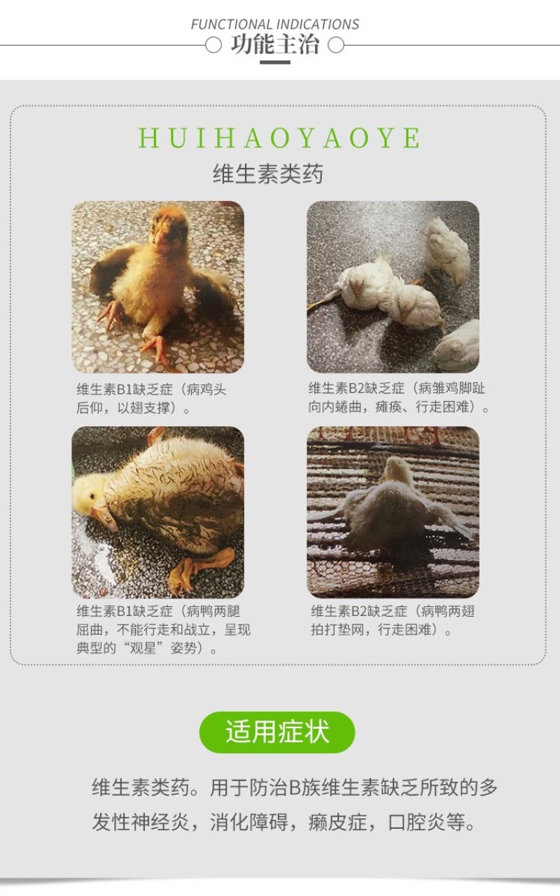 兽用复合维生素B可溶性粉补充B1B2B6消化障碍口腔