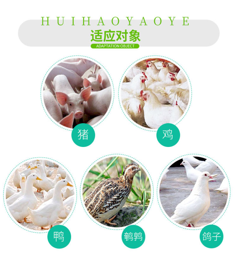 兽用复合维生素B可溶性粉补充B1B2B6消化障碍口腔