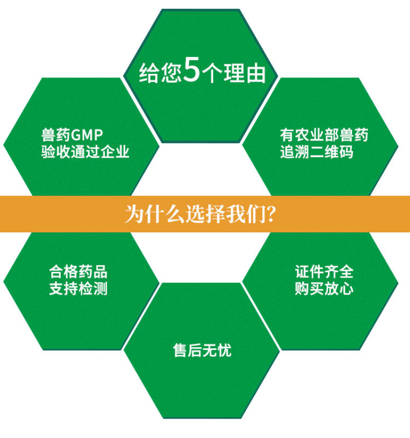 兽用复合维生素B可溶性粉补充B1B2B6消化障碍口腔