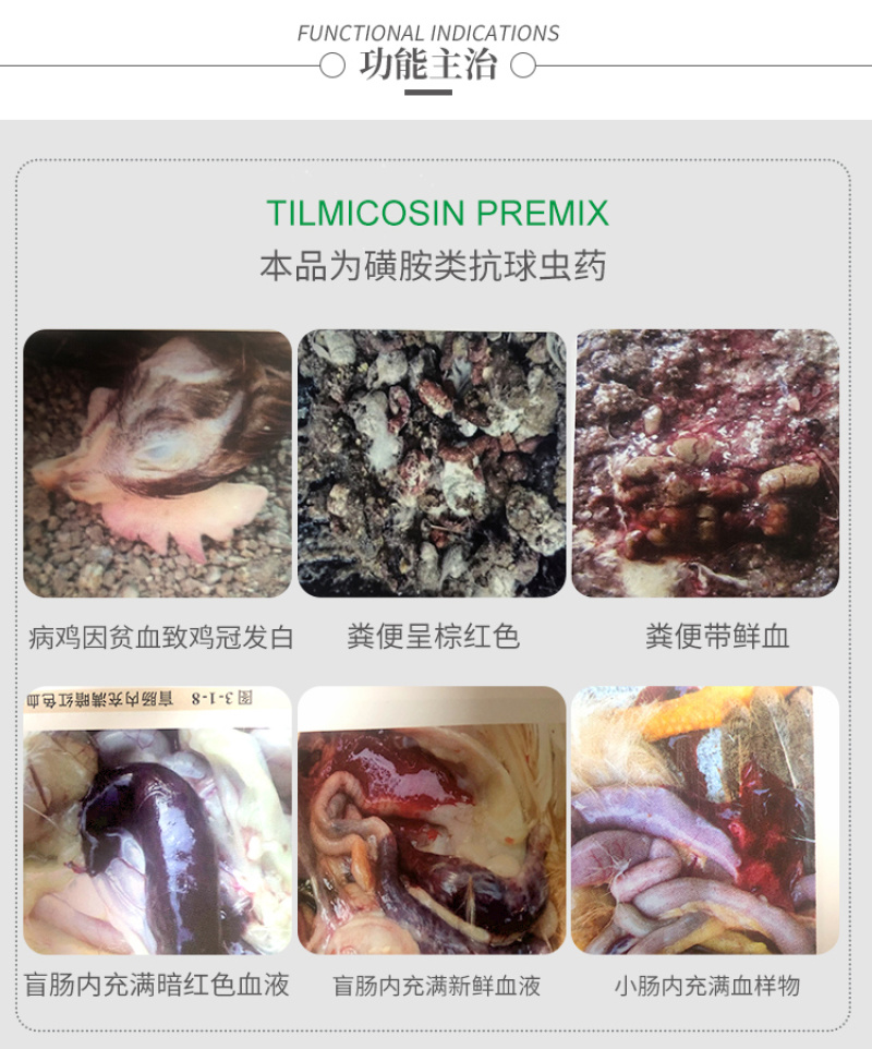 兽药磺胺氯吡嗪钠可溶性粉鸡打虫鸭鹅兔球虫病球虫药兽用批发