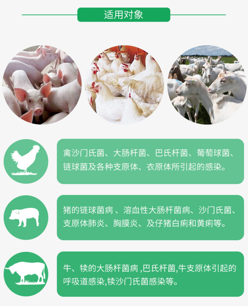 兽药恩诺沙星可溶性粉猪牛羊鸡鸭鹅猪用禽药白痢拉稀兽用大全