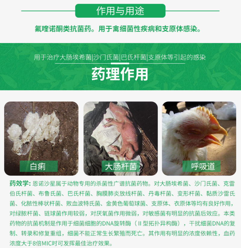 兽药恩诺沙星可溶性粉猪牛羊鸡鸭鹅猪用禽药白痢拉稀兽用大全