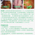 兽药恩诺沙星可溶性粉猪牛羊鸡鸭鹅猪用禽药白痢拉稀兽用大全