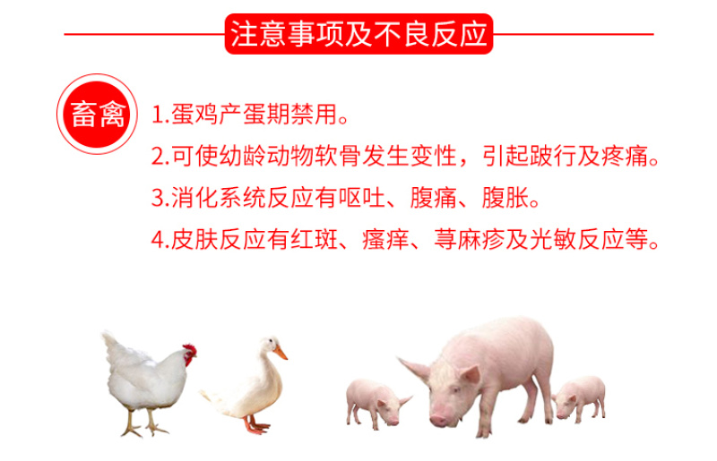 兽药恩诺沙星可溶性粉猪牛羊鸡鸭鹅猪用禽药白痢拉稀兽用大全