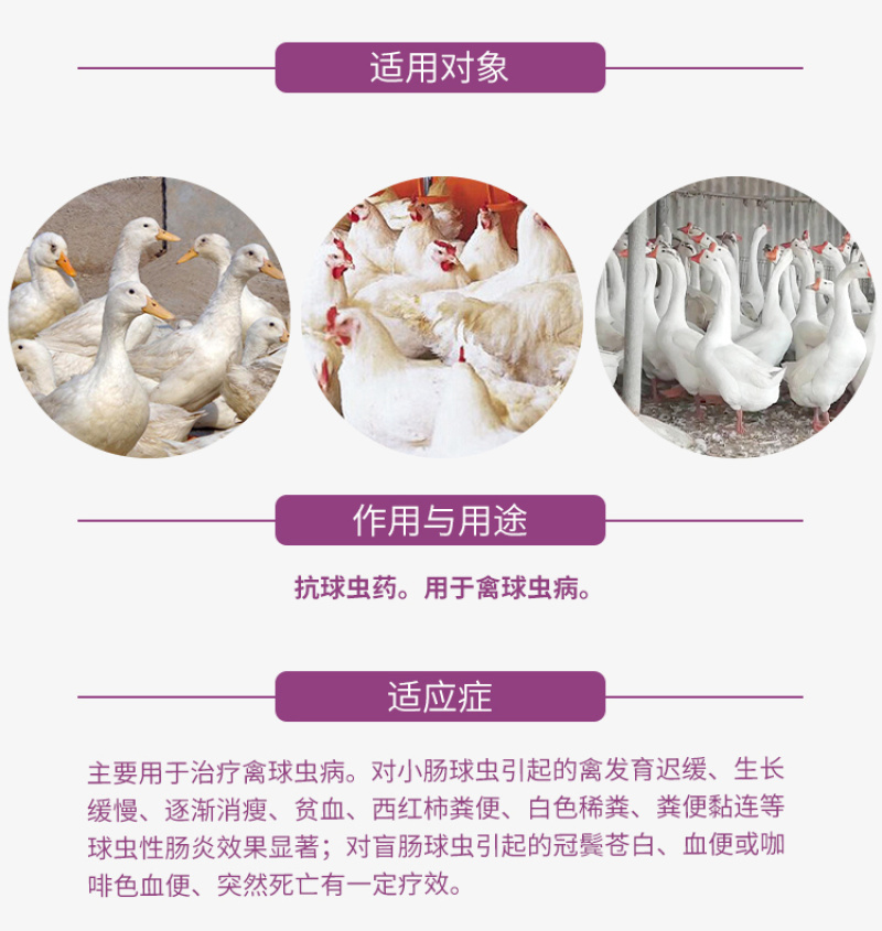 兽药磺胺喹噁啉钠可溶性粉鸡鸭鹅禽打虫药驱虫药球虫兽用大全