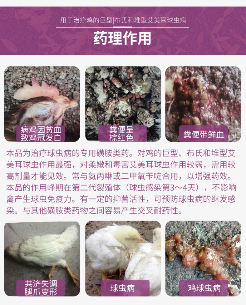 兽药磺胺喹噁啉钠可溶性粉鸡鸭鹅禽打虫药驱虫药球虫兽用大全