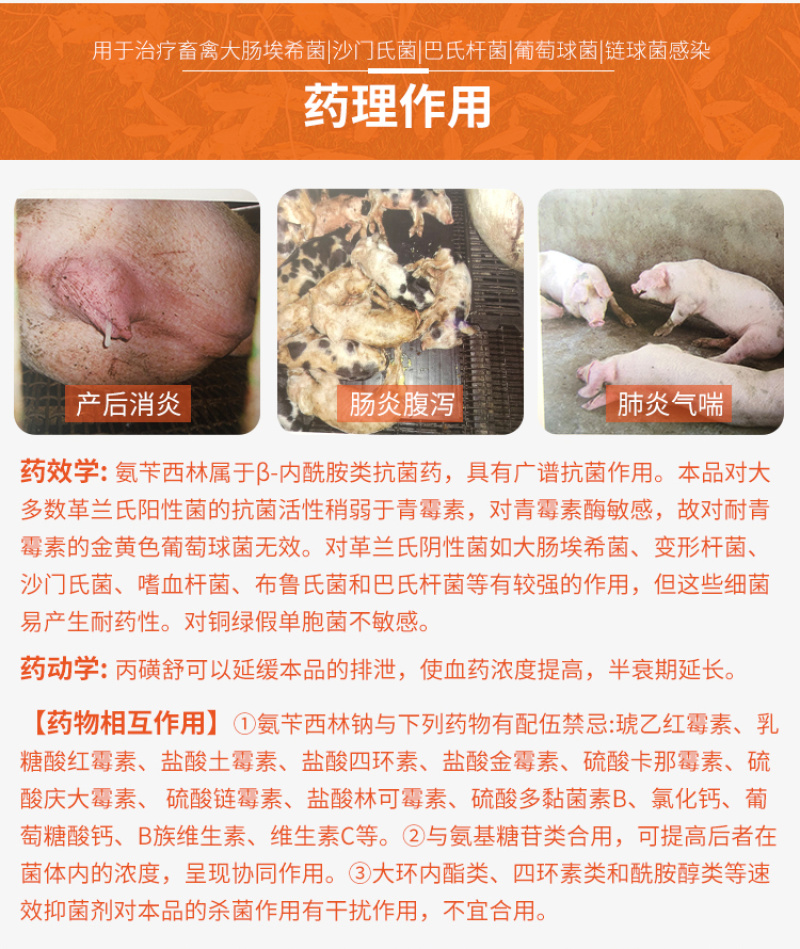 兽药氨苄西林钠可溶性粉兽用大全猪用鸡鸭鹅腹泻拉稀大肠杆菌