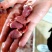 原粮喂食乳鸽鸽胗鸽心国企养殖年产500万羽非灌食独立包装