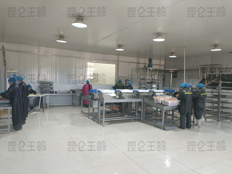 原粮喂食乳鸽鸽胗鸽心国企养殖年产500万羽非灌食独立包装