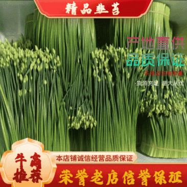 【荐】精品韭苔韭菜花33～38cm，大量上市