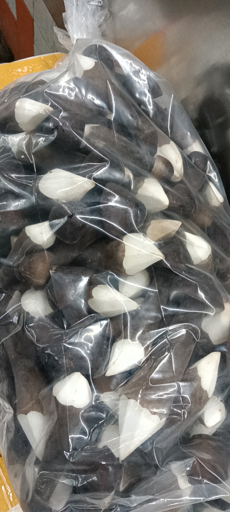 鸡枞菌黑鸡枞有一二三四级，短腿，新鲜无硬泥沙，质量杠杠