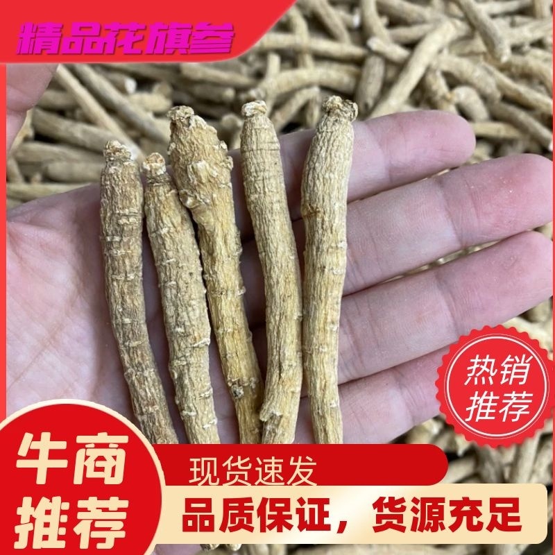 西洋参精选整枝花旗参批发品质保证微商直播供应