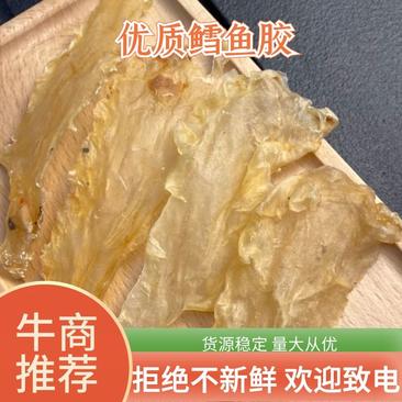 鳕鱼胶批发深海鳕鱼胶100头花胶干货煲汤料滋补佳品