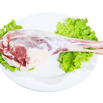 羊后腿盐池滩羊肉肉质细嫩无膻味香味足羊肉中的高端产品
