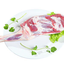 羊前腿盐池滩羊肉质细嫩无膻味香味足羊肉中的天花板级别产品