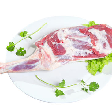 羊前腿盐池滩羊肉质细嫩无膻味香味足羊肉中的天花板级别产品