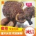 【优选】灵芝云南大理境内纯野生灵芝快递包邮欢迎采购