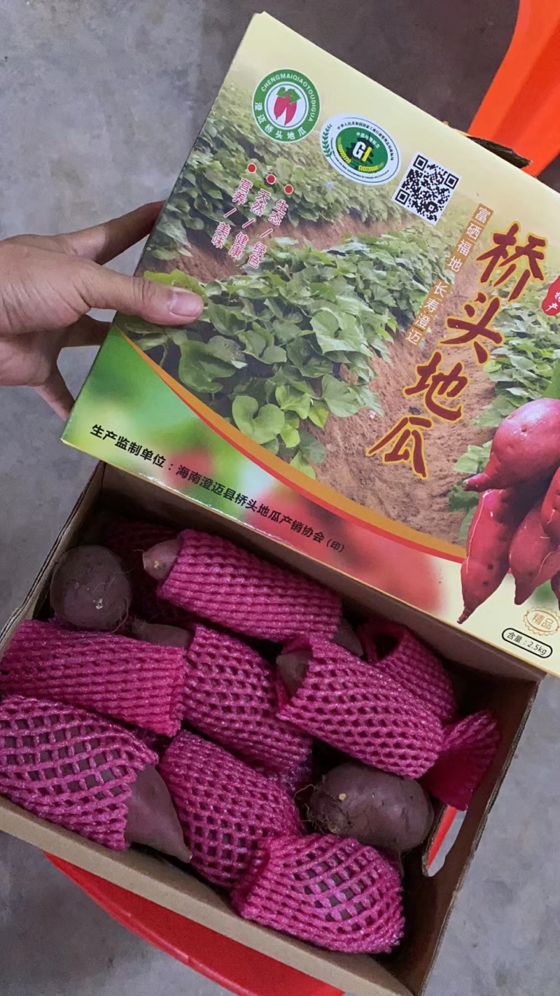 正宗海南桥头富硒地瓜板栗番薯新鲜沙地粉糯香一件批发价包邮