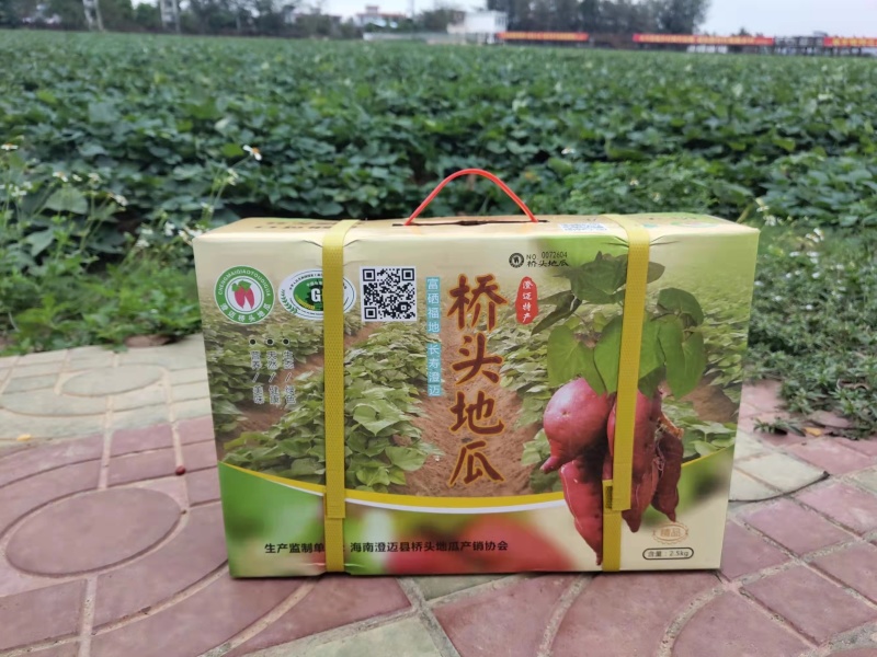 正宗海南桥头富硒地瓜板栗番薯新鲜沙地粉糯香一件批发价包邮