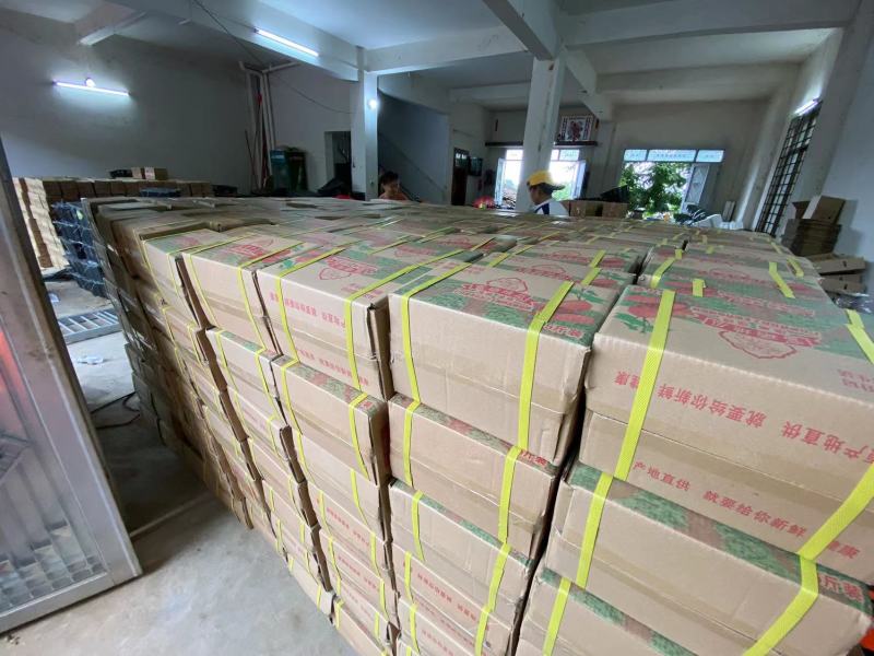 正宗海南桥头富硒地瓜板栗番薯新鲜沙地粉糯香一件批发价包邮